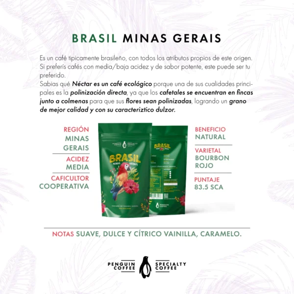 Brasil - Bourbon Minas Gerais - Imagen 2